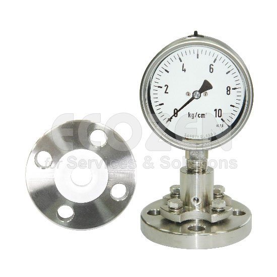 Đồng hồ áp suất nối bích + Teflon Nuova Fima Model DT123